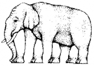 Hur många ben har en elefant?